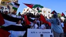 مظاهرة في ألمرية تضامناً مع الشعب الفلسطيني، الشهر الماضي، (فيسبوك)