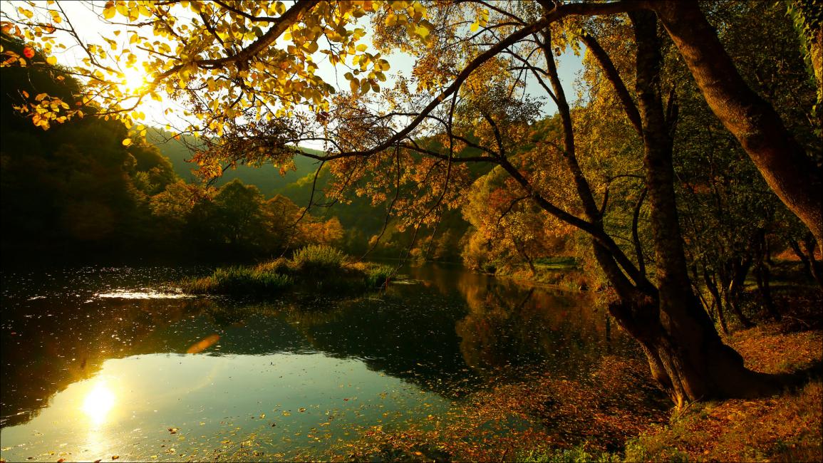 البوسنة.. حديقة "أونا" تتزين بألوان الخريف الساحرة