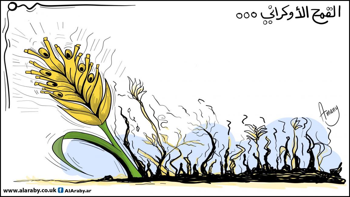 كاريكاتير القمح الاوكراني / اماني 