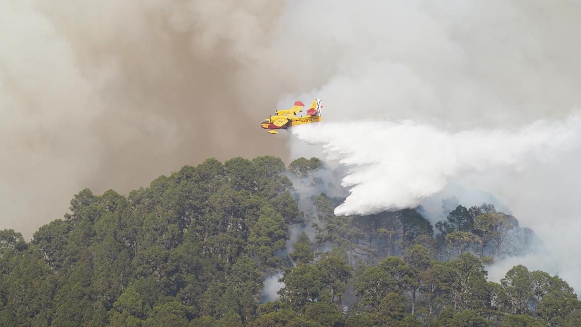 طائرة إطفاء في جزيرة تينيريفي الإسبانية (Getty)
