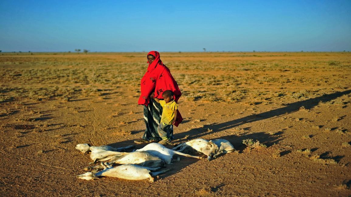 جفاف الصومال8