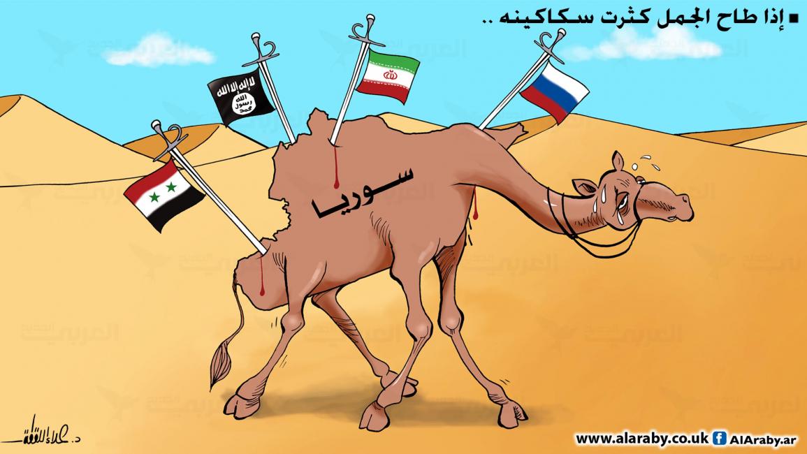 كاريكاتير الجمل / علاء