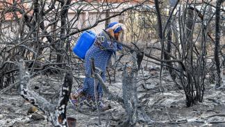 امرأة تونسية وسط حرائق الغابات في تونس - 26 يوليو 2023 (فتحي بلعيد/ فرانس برس)