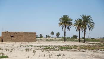 الجفاف يجبر المزارعين في العراق على النزوح (فرانس برس)