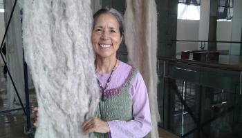 سيسيليا فيكونا في "المتحف الوطني للفنون الجميلة" في تشيلي عام 2014