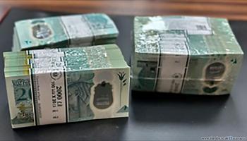 عملة بلاستيكية "بوليمر" جديدة من فئة 20 جنيهاً (العربي الجديد)