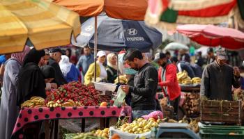 المبيدات الزراعية تهدد سلامة الغذاء المغربي (فاضل سنا/فرانس برس)