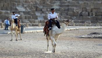 شرطة السياحة في مصر (أحمد إسماعيل/الأناضول)