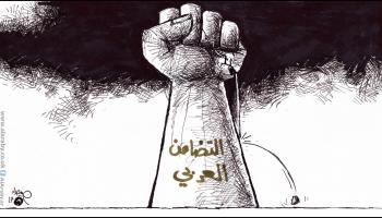 كاريكاتير التضامن العربي / حبيب