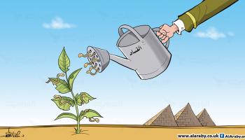 كاريكاتير فساد المحاصيل / علاء 