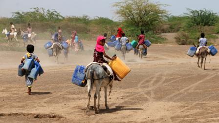 أطفال يسعون لجلب المياه في قرية حيس بالحديدة، 22 يوليو 2023 (خالد زياد/ فرانس برس)