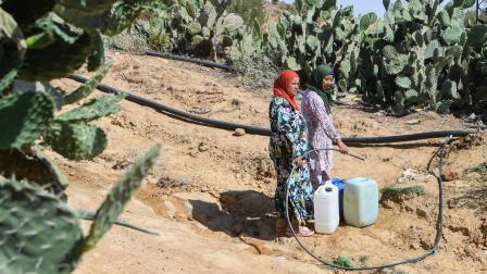 تعبئة مياه في القيروان - تونس - 25 يونيو 2024 (فتحي بلعيد/ فرانس برس)