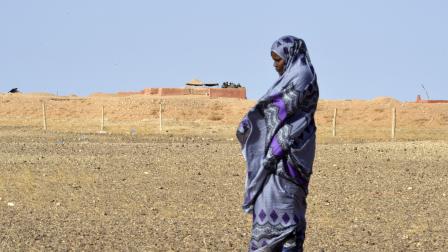 امرأة في منطقة الصحراء، 3 فبراير 2017 (Getty)