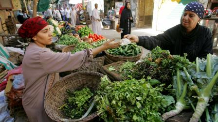 بائعة خضروات في سوق إمبابة الشعبي بمحافظة الجيزة (خالد دسوقي/ فرانس برس)