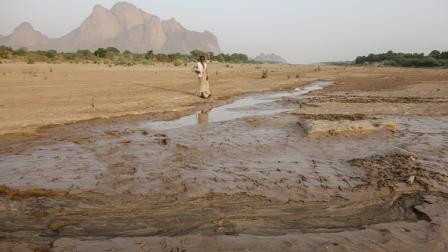 صعوبات جمة تواجه الزراعة في السودان - 6 يونيو 2024 (Getty)